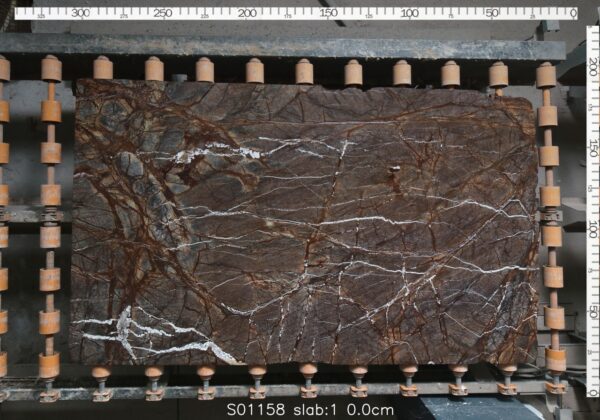 FOREST BROWN - LASTRE - 2 CM