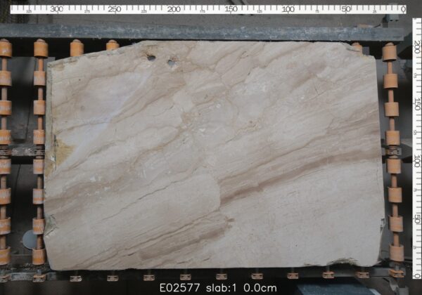 DAINO - LASTRE - 2 CM